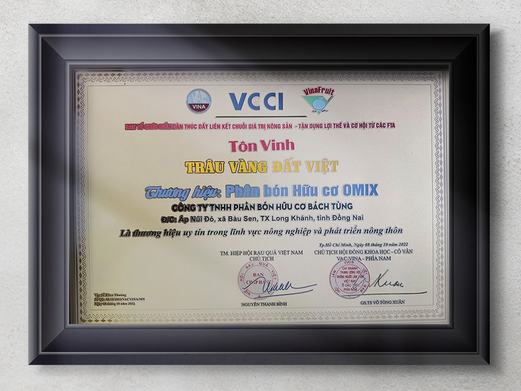 Giải thưởng Trâu Vàng Đất Việt